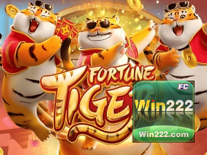 Guia install APK WIN222 BR